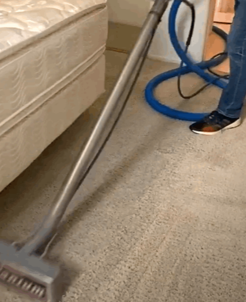 Professional Carpet Cleaning NJ